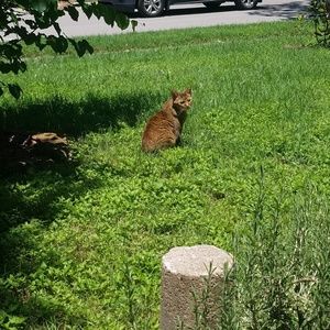 Meet your Posher, Joan